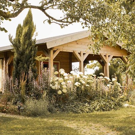 Chalet Ben In Broek Benningbroek Luaran gambar