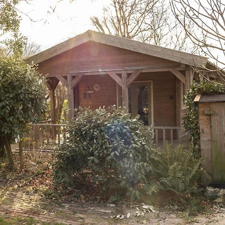 Chalet Ben In Broek Benningbroek Luaran gambar