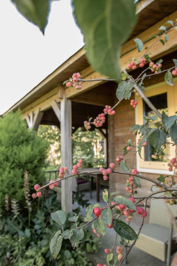 Chalet Ben In Broek Benningbroek Luaran gambar